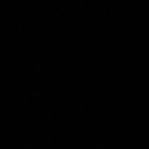 Meet your Posher, Jamari